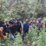 Penemuan Ladang Ganja Di Lereng Gunung Bromo: Fakta, Klarifikasi, Dan Penegakan Hukum